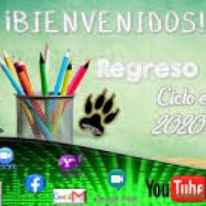 QUINTO PRIMARIA