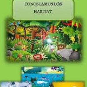 ADAPTACIONES 