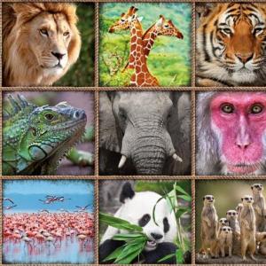 ANIMALES SALVAJES