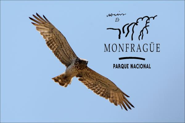 Imagen de portada del videojuego educativo: Ecosistemas de Monfragüe, de la temática Medio ambiente