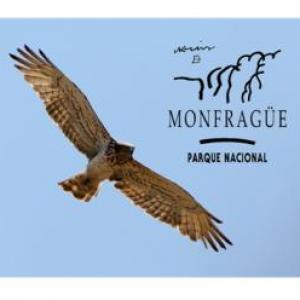Imagen de portada del videojuego educativo: Aves rapaces del Parque Nacional de Monfragüe, de la temática Medio ambiente