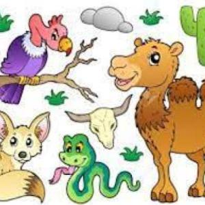 LOS ANIMALES VERTEBRADOS E INVERTEBRADOS