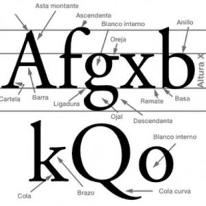 Partes de la letra