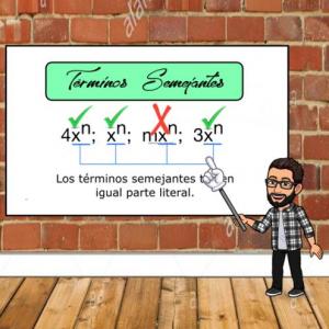 Términos Semejantes