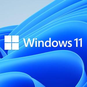 windows 11