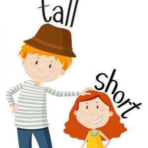 Portada del juego Tall and short – Idiomas