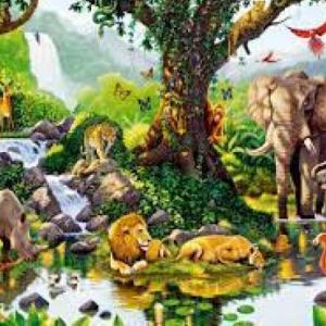 REINO ANIMAL