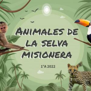 ANIMALES DE LA SELVA