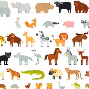 Encuentra el animal igual