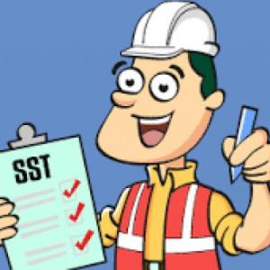Definiciones de SST