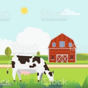 BUENAS PRACTICAS GANADERAS