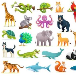 6toB-JUGANDO CON ANIMALES 2022