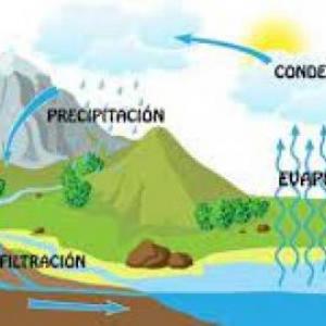 preguntas y respuestas 