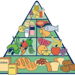 Imagen de portada del videojuego educativo: La alimentación (4to), de la temática Ciencias