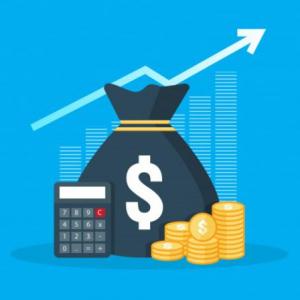 Ingresos por Salarios, Actividad Empresarial y Profesional