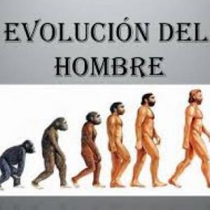 Evolución de los homínidos