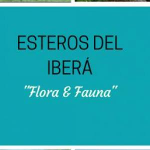 "Los Esteros del Iberá"