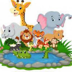 Reconozco las partes de los animales