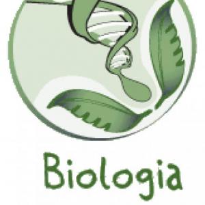 Citoplasma