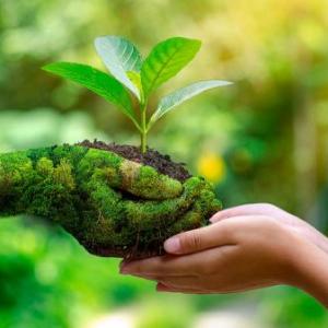Cuidado del medio ambiente