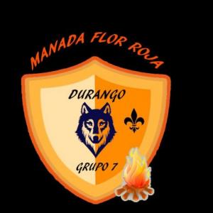 Manada flor roja