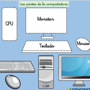PARTES DE LA COMPUTADORA