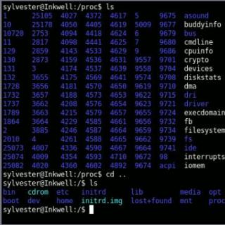 Imagen de portada del videojuego educativo: ¿Cuántos comandos Linux sabes? IX, de la temática Informática