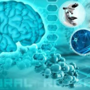 La neurociencia