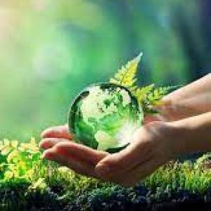 Concepts on ecology
