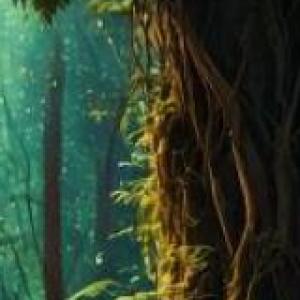 arbol de vida