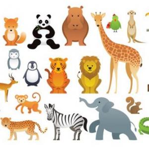 Lectura Global Animales