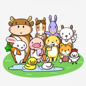 Animals