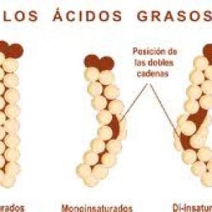 Ácidos grasos