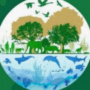 Imagen de portada del videojuego educativo: Biodiversidad, de la temática Humanidades