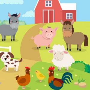 Animales de la granja