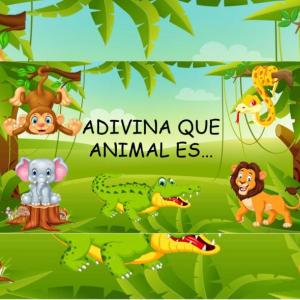 ADIVINA QUE ANIMAL ES?..