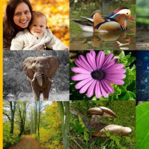 Funciones Vitales de las seres vivos