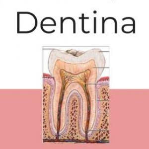 Dentina
