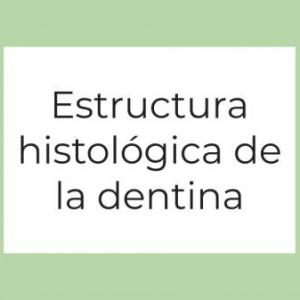 Estructura histológica de la dentina