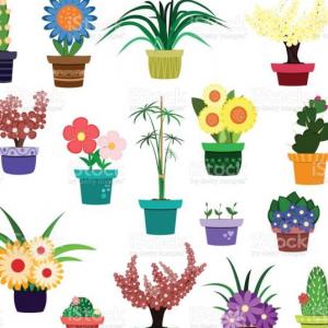 Imagen de portada del videojuego educativo: Memorizando las plantas, de la temática Medio ambiente