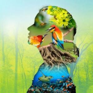REGULACIÓN ECONOMÍA SOBRE BIODIVERSIDAD Y PATRIMONIO GENÉTICO