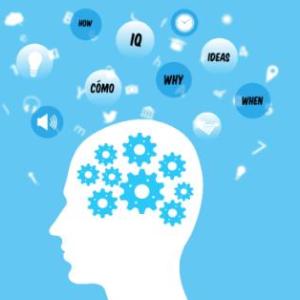 Bases Neurofisiologicas del aprendizaje