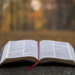 LIBROS DE LA BIBLIA