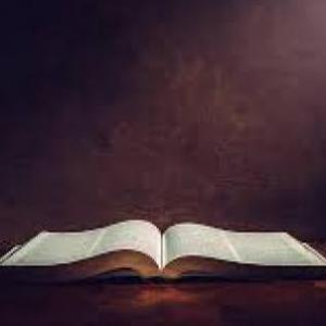 Imagen de portada del videojuego educativo: LIBROS DE LA BIBLIA NUEVO TESTAMENTO, de la temática Religión