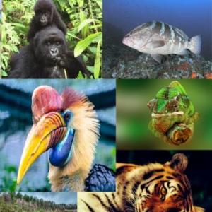 Biodiversidad