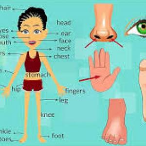 Parts of the body 2