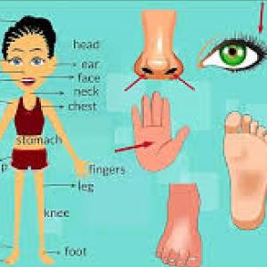 Parts of the body 2