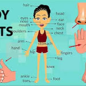 Parts of the body Kinder1