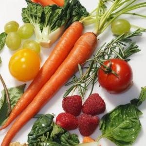 Los Alimentos