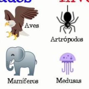 Imagen de portada del videojuego educativo: ANIMALES VERTEBRADOS E INVERTEBRADOS, de la temática Ciencias